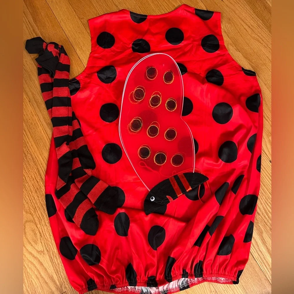 Lady bug costume